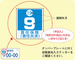 自賠責保険を確認!