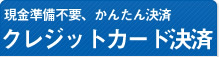 現金準備不要、かんたん決済クレジットカード決済