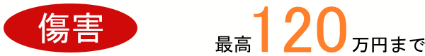 障害の場合、最高120万円まで