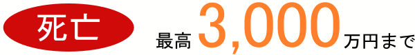 死亡の場合、最高3000万円まで