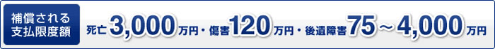 補償される支払限度額　死亡3,000万円・傷害120万円・後遺障害75～4,000万円